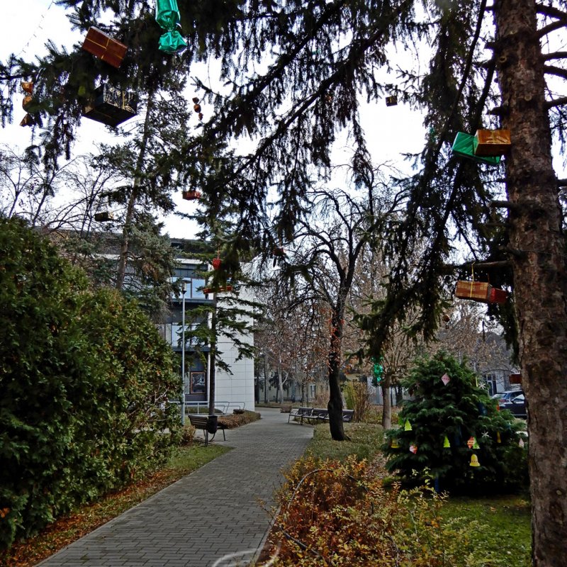 Fenyődíszítés a kórházban 33